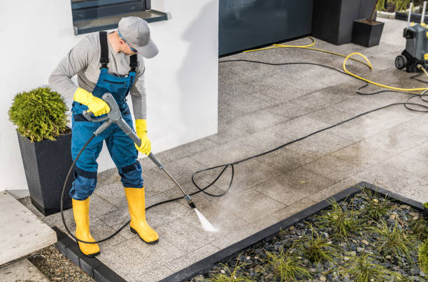 Best Exterior Home Cleaning  in Auburn, IN